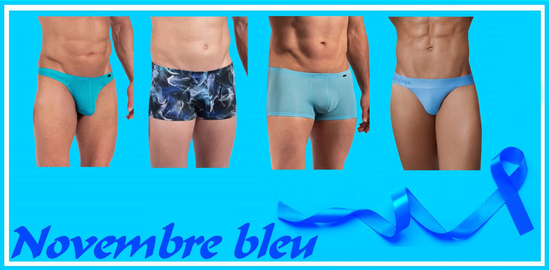 Novembre Bleu