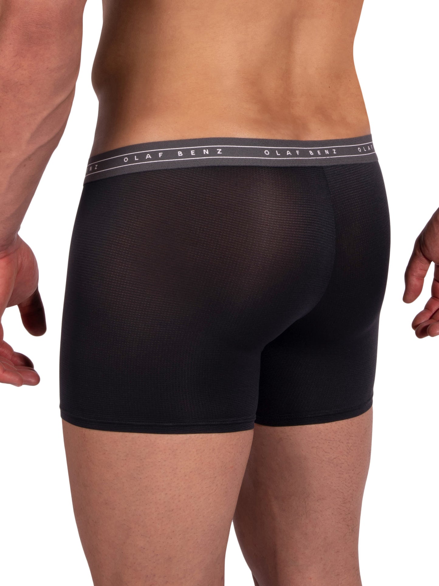 Boxer RED2385 Olaf Benz